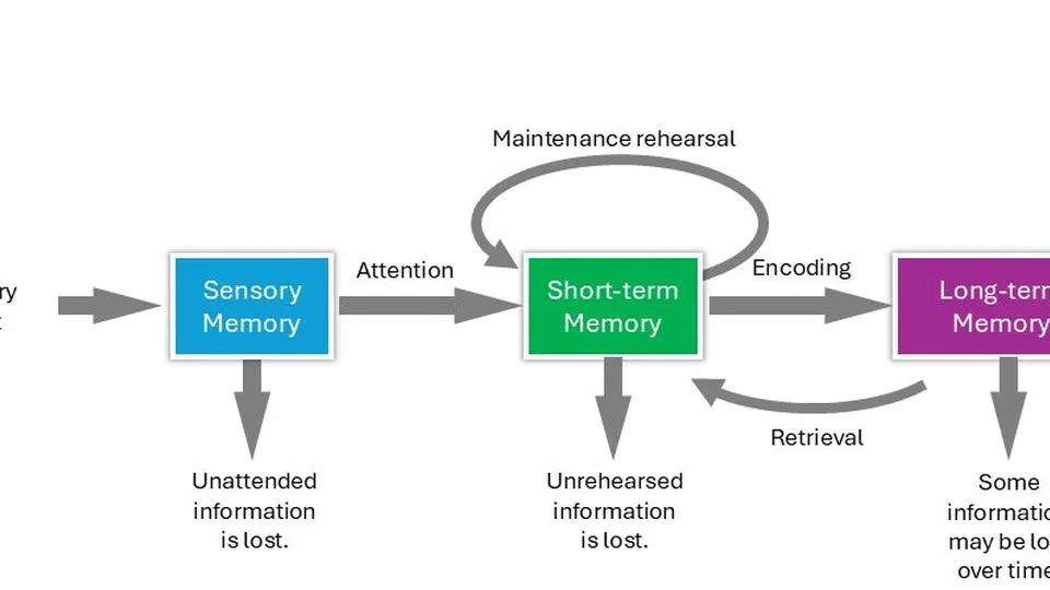 🧠 Memory Definition in LLM Applications