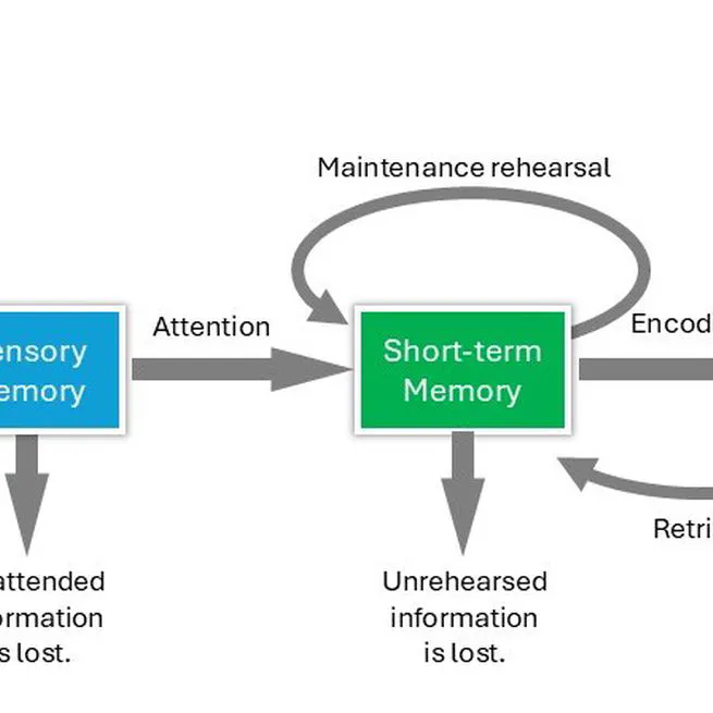 🧠 Memory Definition in LLM Applications